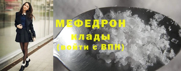 хмурый Аркадак