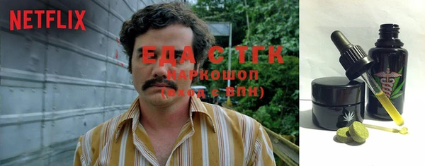 хмурый Аркадак