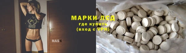 хмурый Аркадак