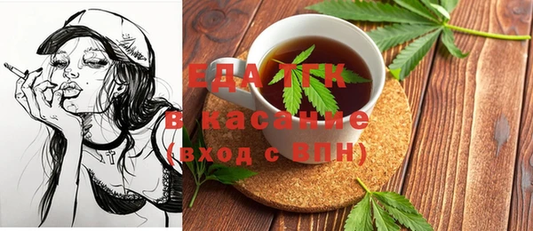 хмурый Аркадак