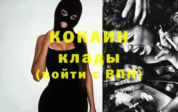 хмурый Аркадак